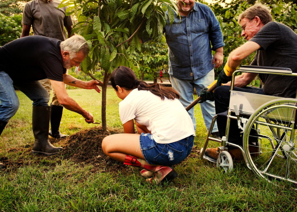 Gruppe von Leuten pflanzt einen Baum im Garten