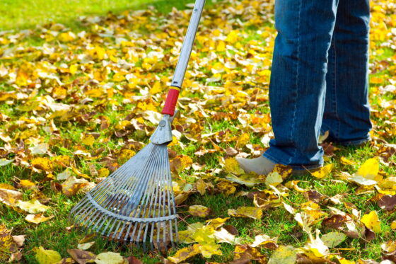 Gärtnern macht gesund: Warum Gartenliebe gut für uns ist