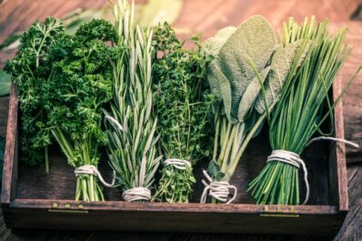 Verrückte Kräuter für das Hochbeet: Die Top 5
