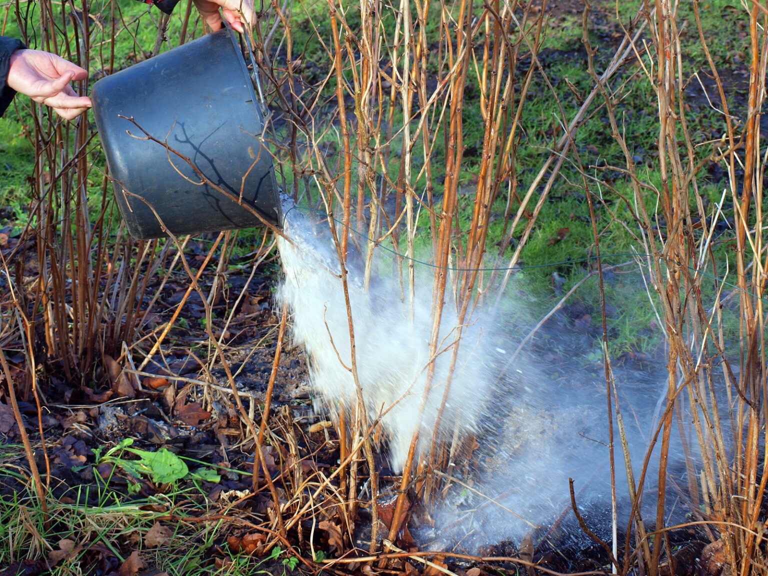 31+ Asche Für Teich, Holzasche kann auf unterschiedliche arten als