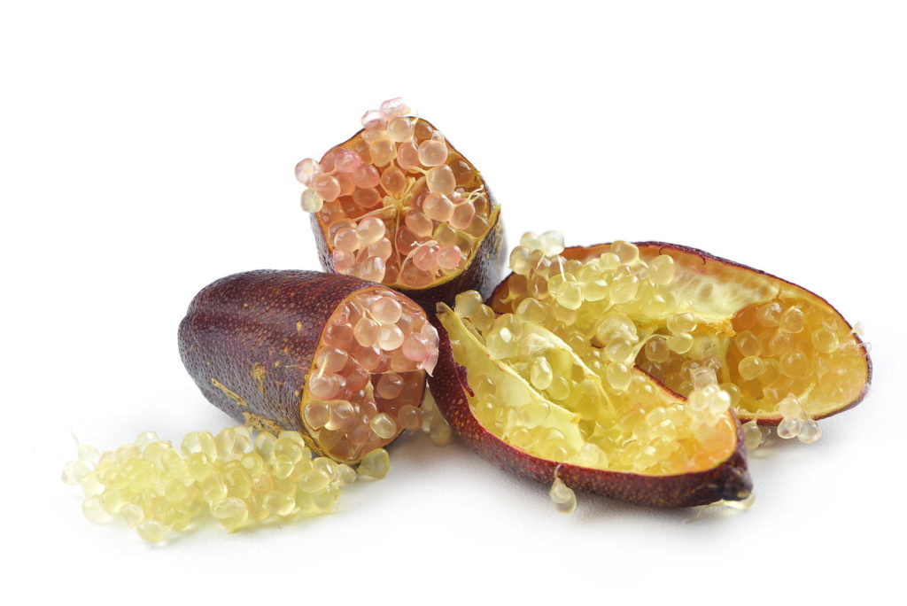 Offene Kaviarlimette