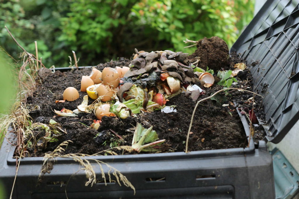 Kompost in einem schwarzen Komposter im Garten