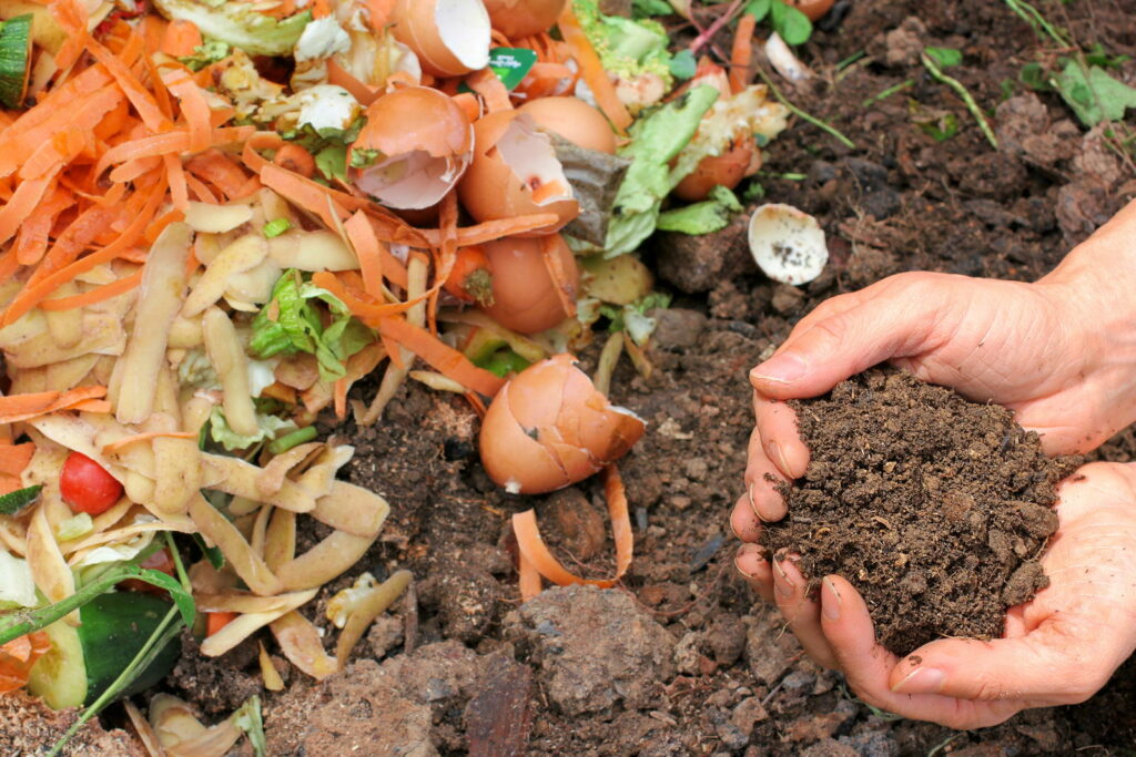 Komposthaufen mit Händen