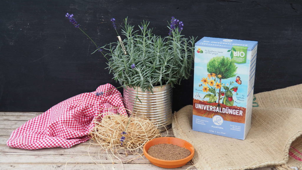 Plantura Bio-Universaldünger neben einem Lavendel im Topf