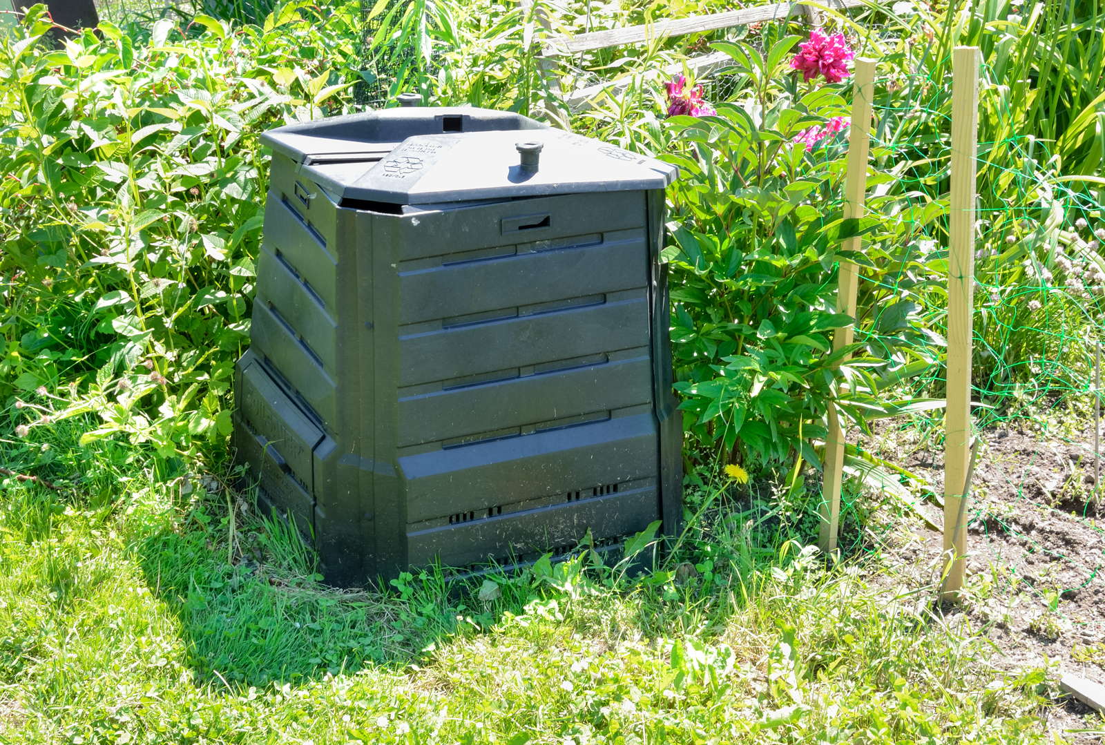 Richtig kompostieren Tipps & Tricks rund um den eigenen Kompost Plantura