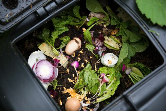 Was ist Kompost? Eigenschaften, Herkunft & Ausbringen