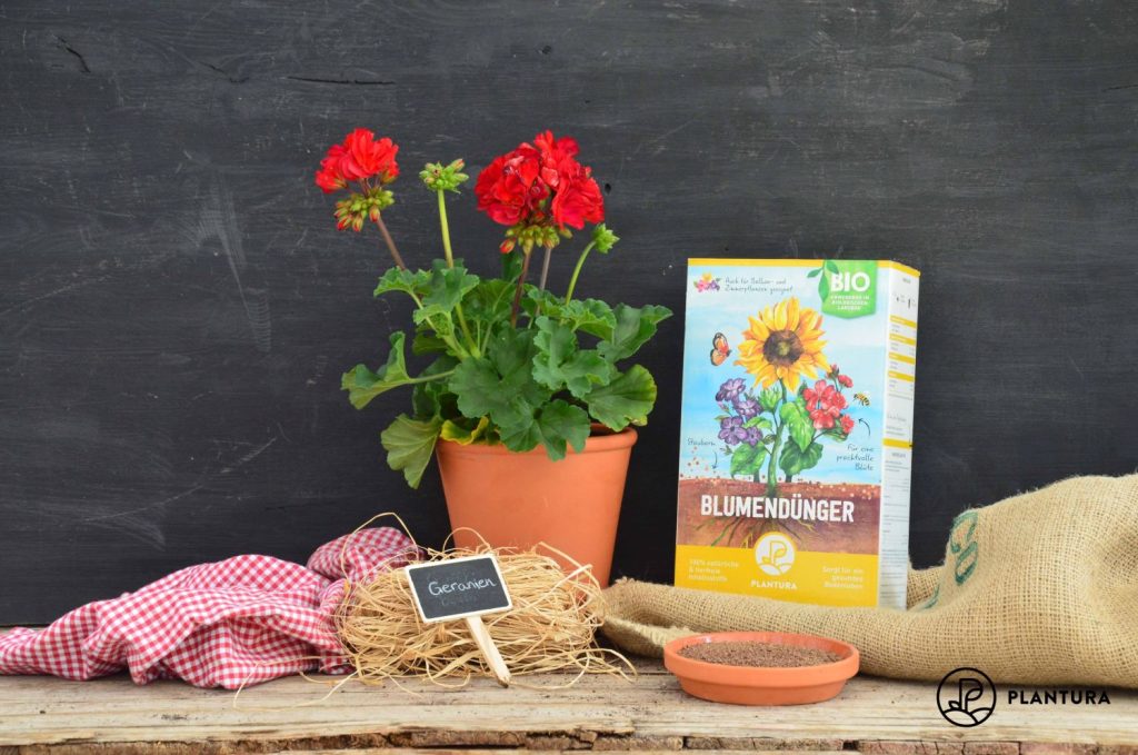 Plantura Blumendünger für Geranien