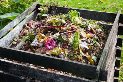 Richtig kompostieren: Tipps & Tricks rund um den eigenen Kompost