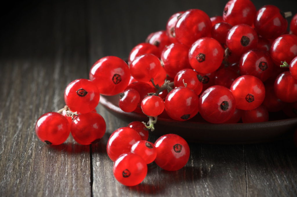 rote Johannisbeeren