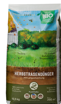 Verbrannter Rasen So wird brauner Rasen wieder grün