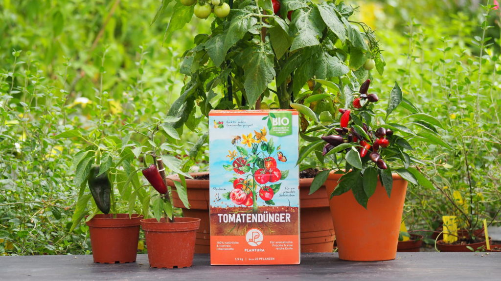 Plantura Bio-Tomatendünger vor einer Tomatenpflanze