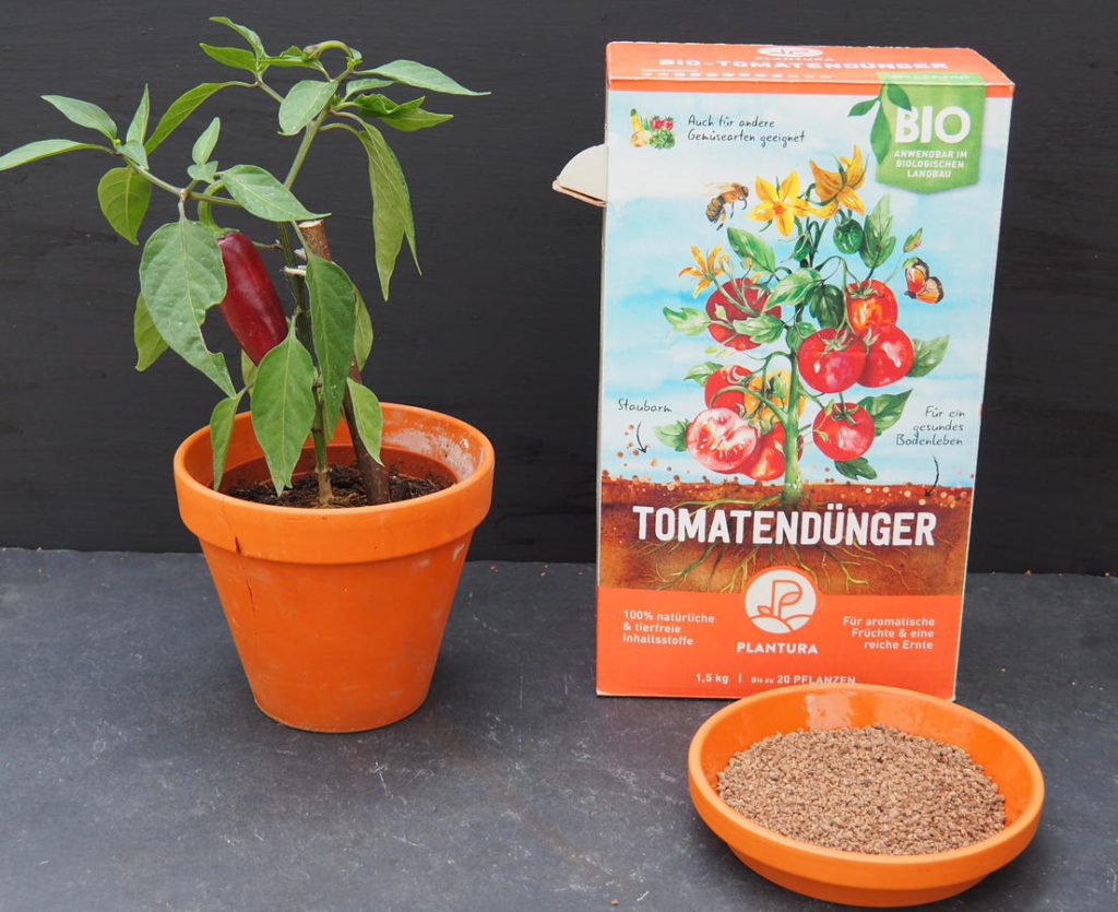 Plantura Bio-Tomatendünger neben einer Chilipflanze