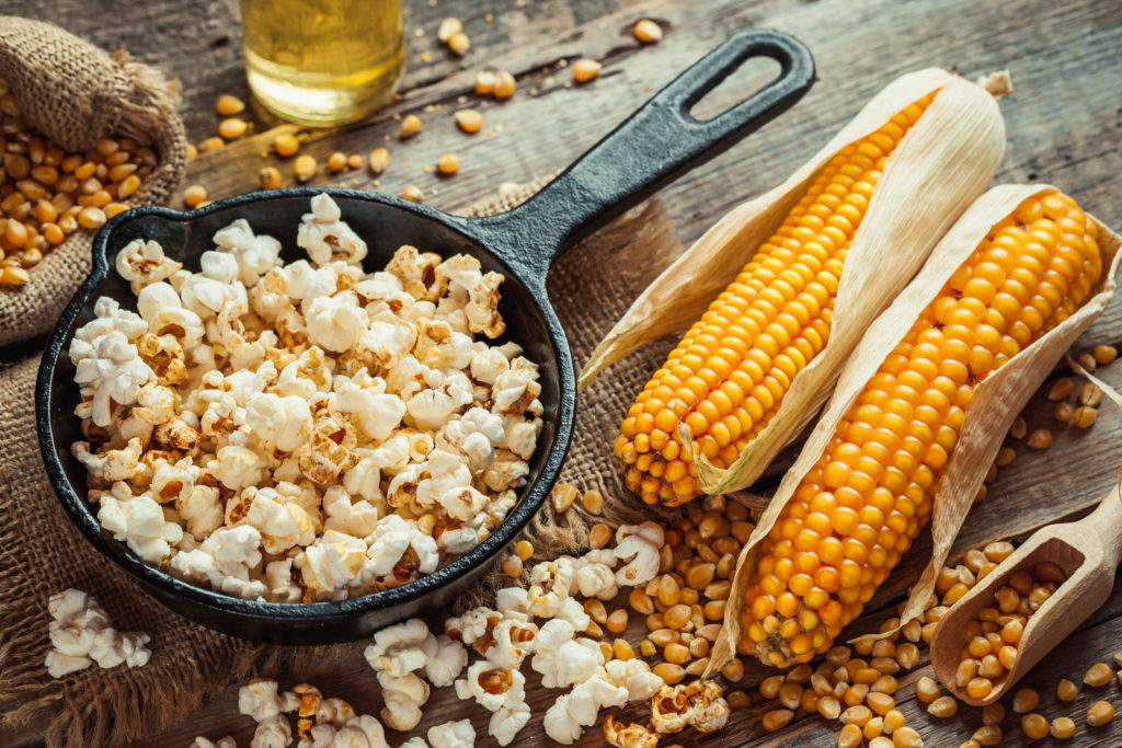 Popcorn selber anbauen: Anleitung &amp; Expertentipps - Plantura