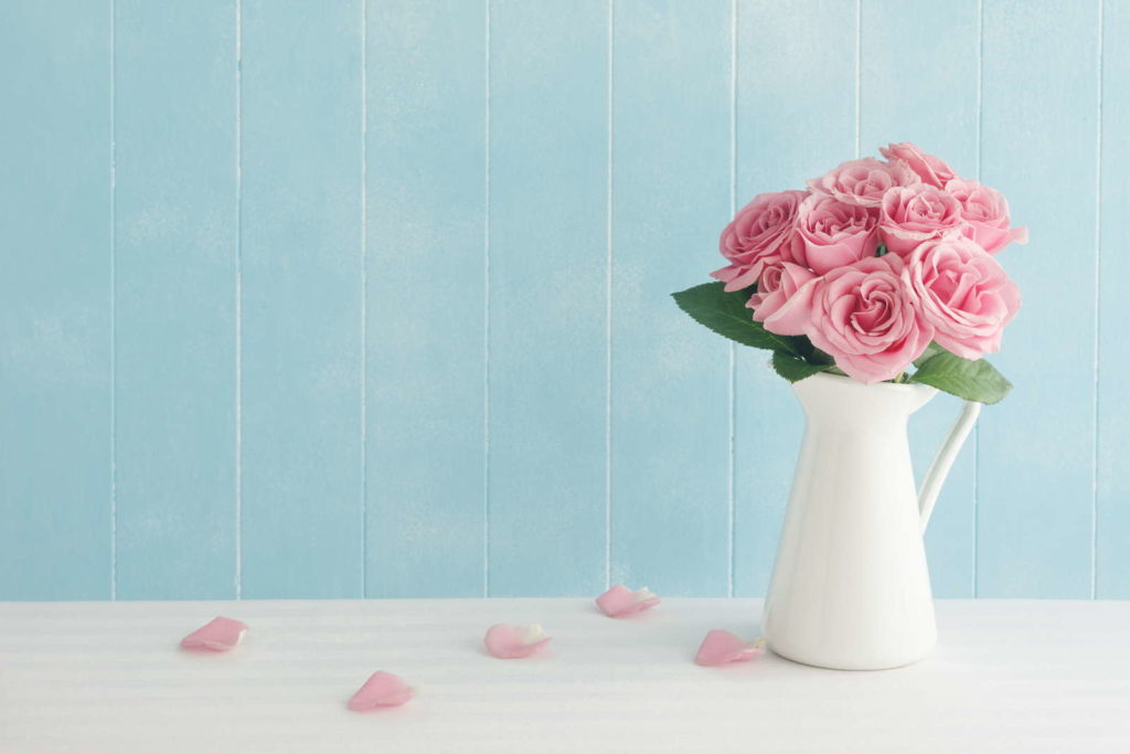 Rosa Rosen in Vase vor blauer Wand