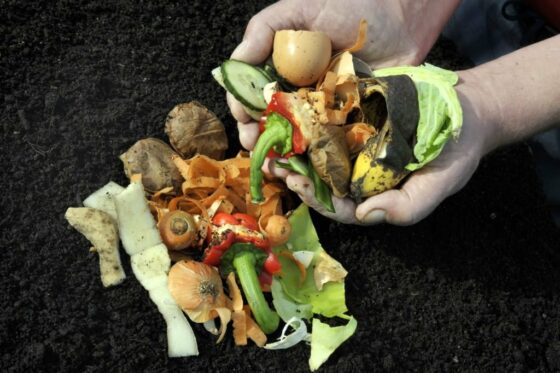 5 Fehler beim Kompostieren, die Sie unbedingt vermeiden sollten