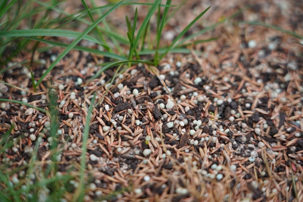 Rasen säen und düngen