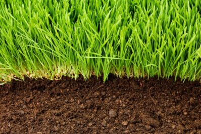 Bodenaktivator für Rasen: Richtige Anwendung & Produktempfehlung
