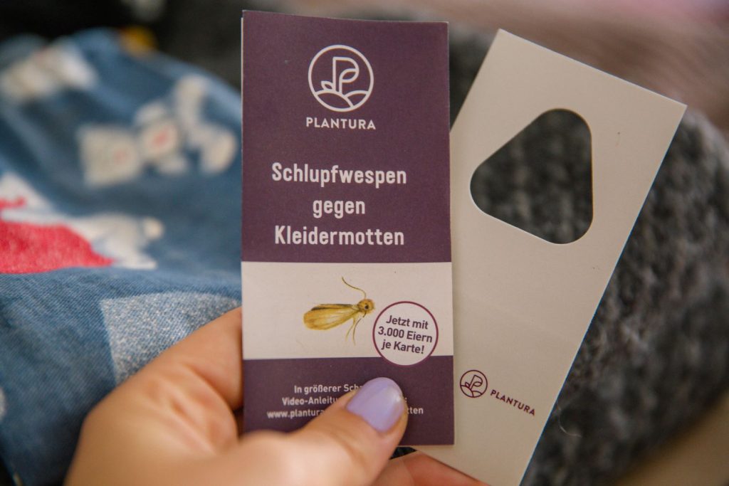 Plantura Schlupfwespen gegen Kleidermotten