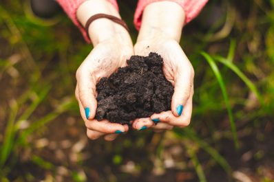 Bodenaktivator: Für ein lebendiges & gesundes Bodenleben