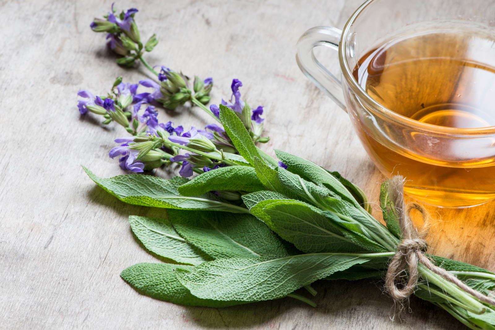 Шалфей чай для чего. Шалфей лекарственный (Salvia officinalis). Шалфей, трава, 50г. Шалфей ада чай. Турецкий чай шалфей.