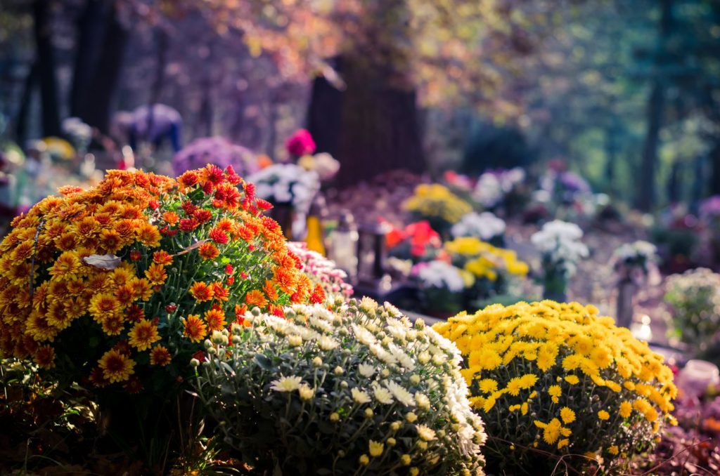 Herbstblumen auf Grab