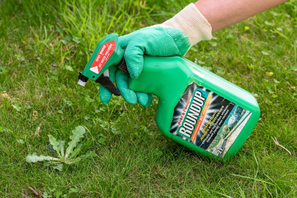 Pestizide Warum Sie Im Garten Nichts Verloren Haben Plantura