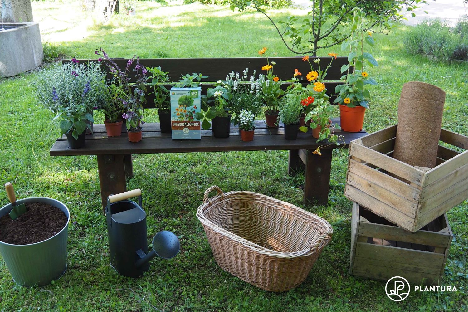 Bienenfreundliche Blumenkästen: Ideen & Anleitung zum Selbermachen