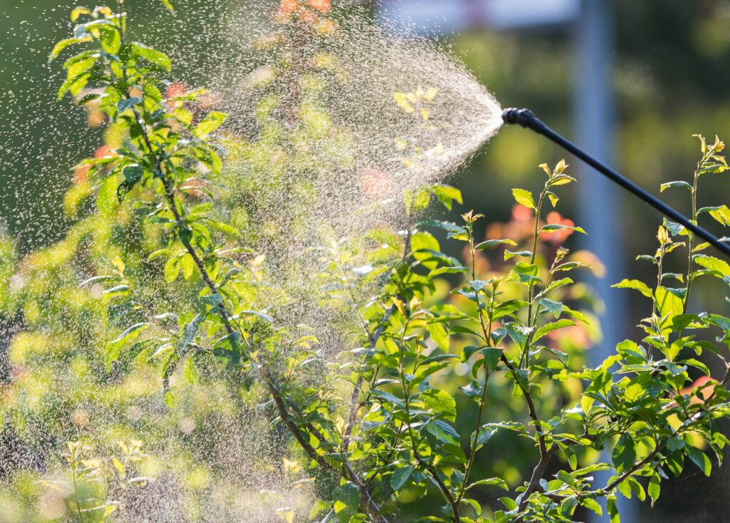 Sprühmittel wird im Garten ausgebracht