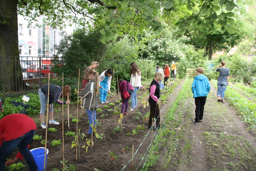 Acker der Schule mit Kindern