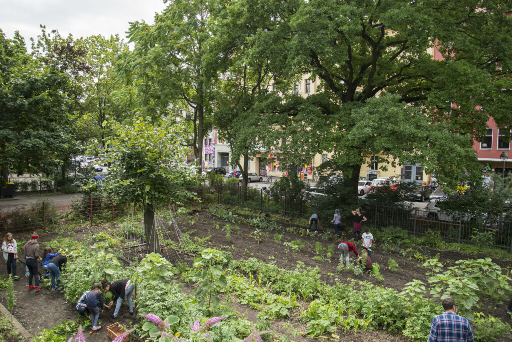 Grüner Acker in der Schule mit Kindern