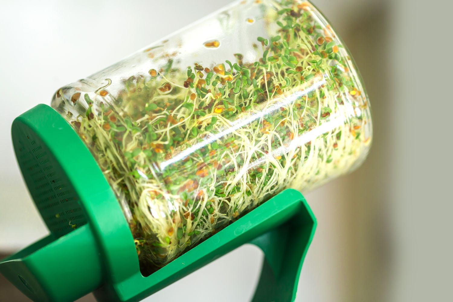 Sprossen Ziehen Glas