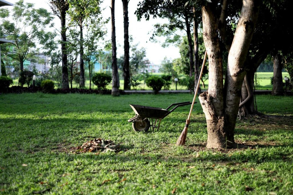 Garten naturnah gestaltet