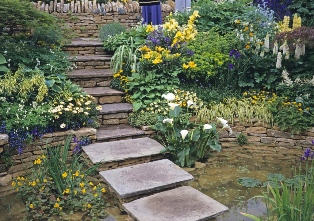 Stufen und Pflanzen in kleinem Garten