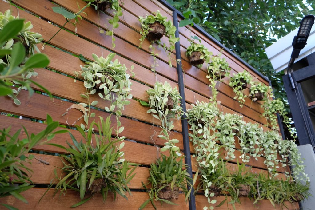 Vertikaler Garten an Sichtschutz