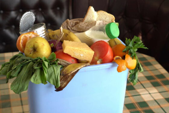 Lebensmittelverschwendung: 6 Tipps zur Müllvermeidung