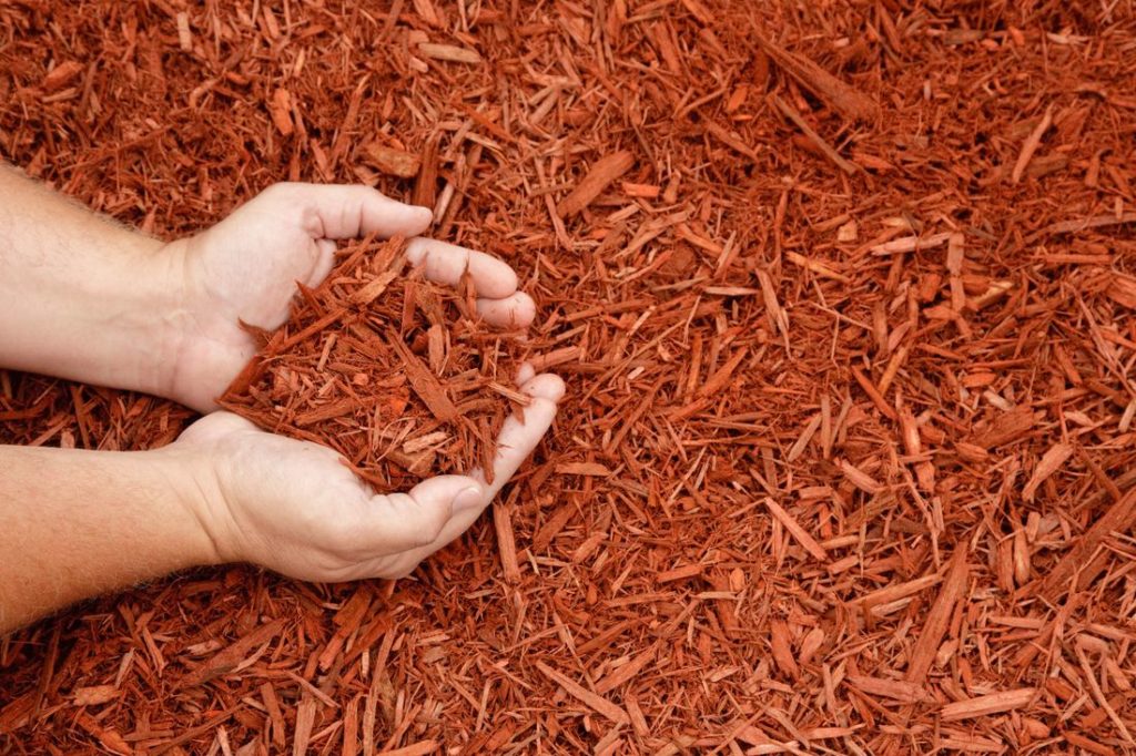 Mulchschicht im Garten