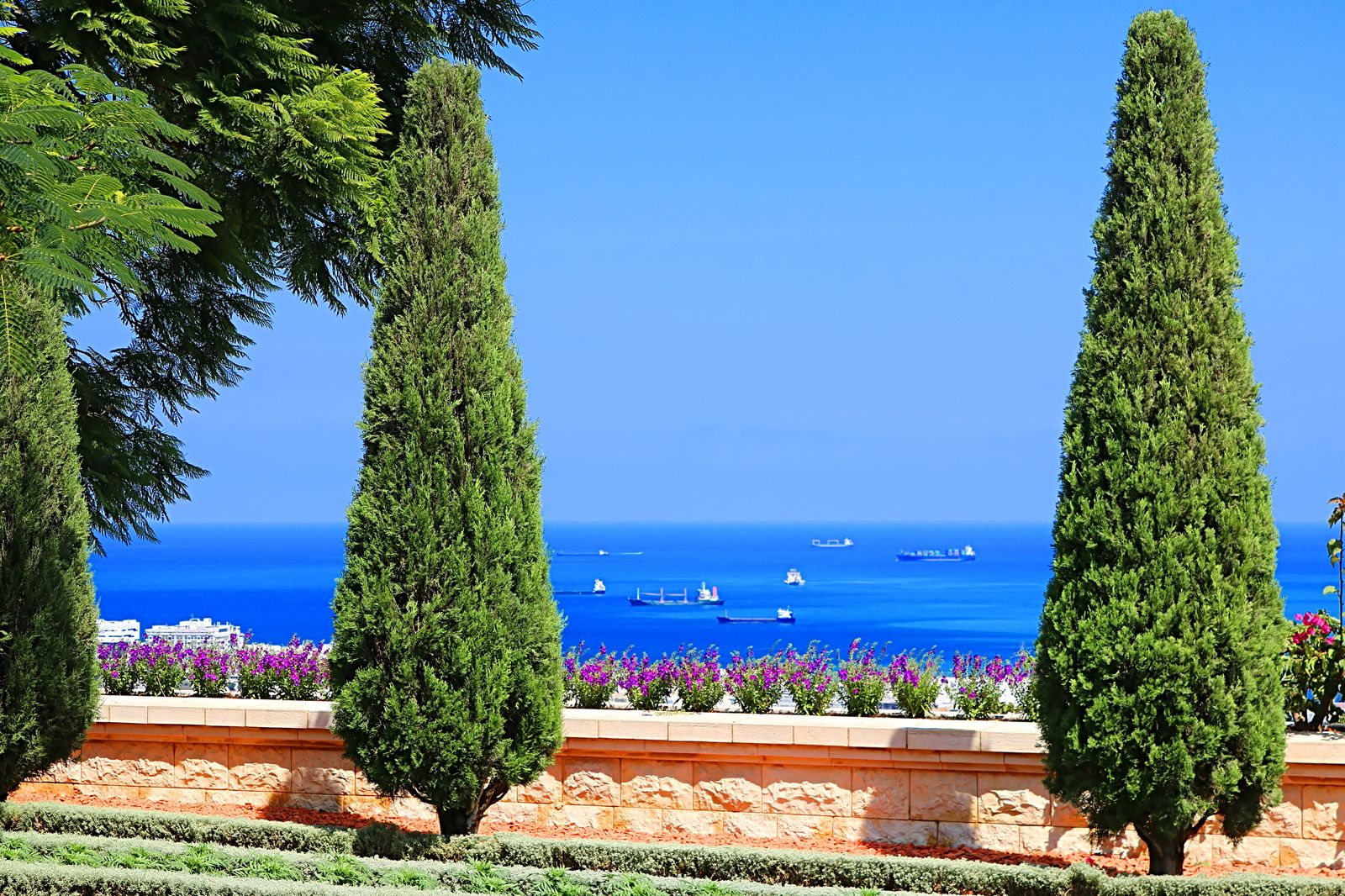 Mediterraner Garten: Planzen &amp; Tipps zum Anlegen