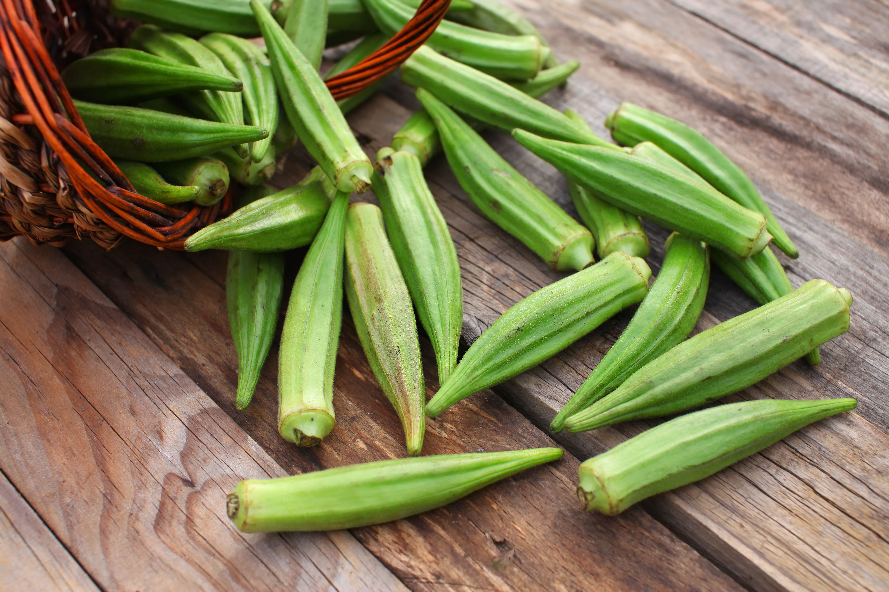 Okra Aus Dem Backofen - Rezepte Suchen