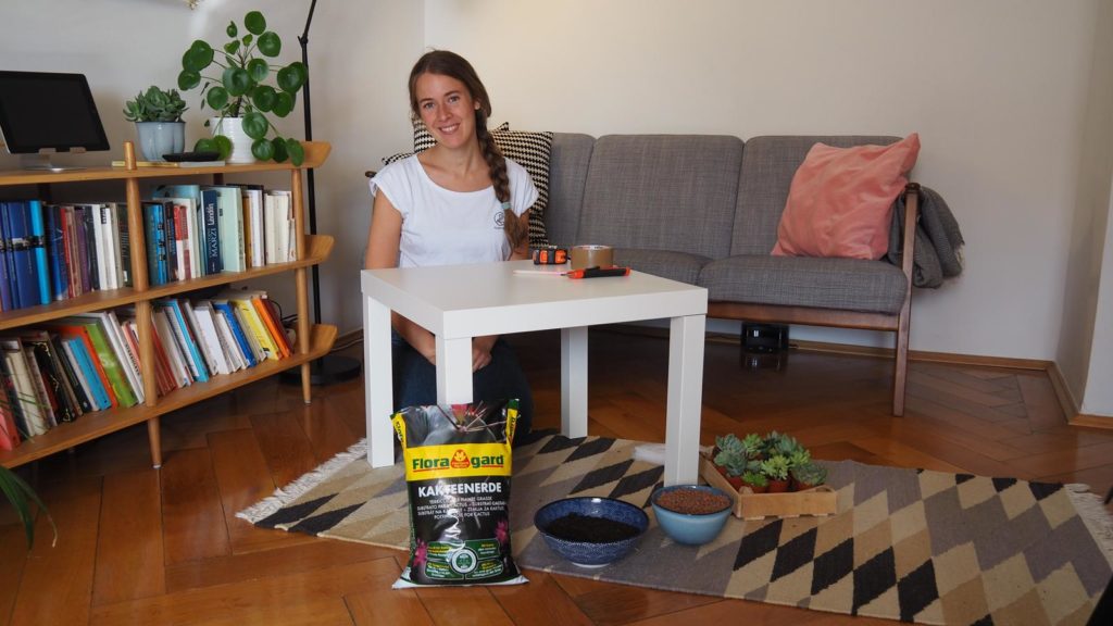 Frau mit Material für Sukkulenten-Tisch