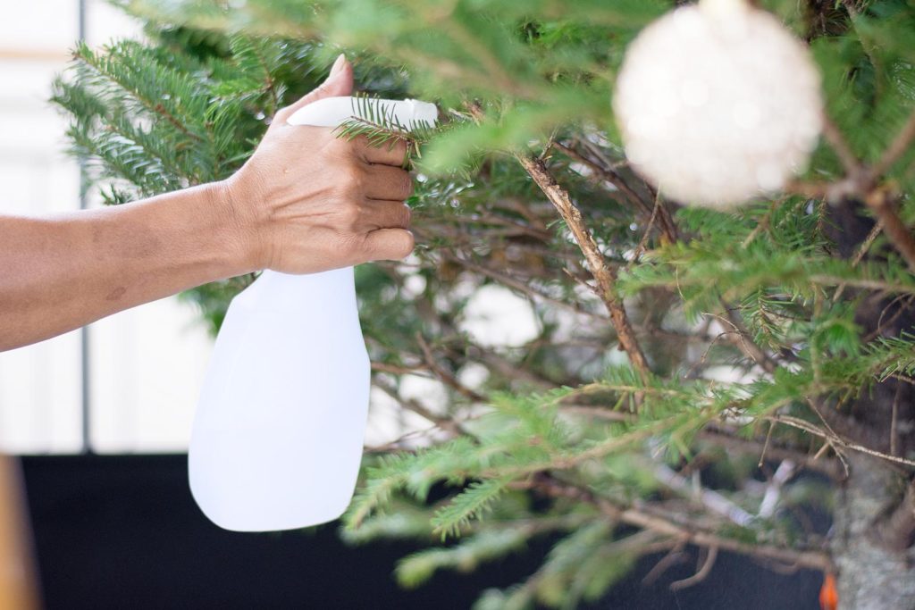 Weihnachtsbaum mit Sprühflasche besprüht