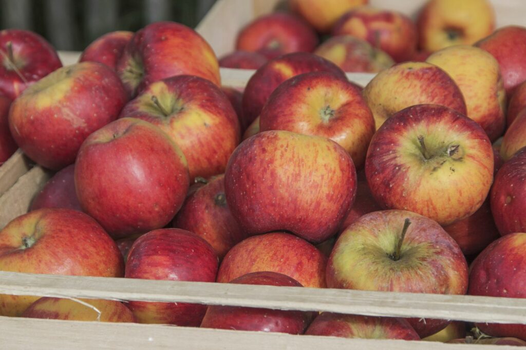 Äpfel in Kisten