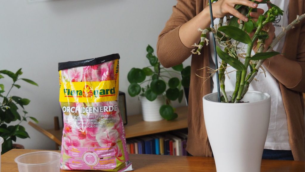 Floragard Orchideenerde