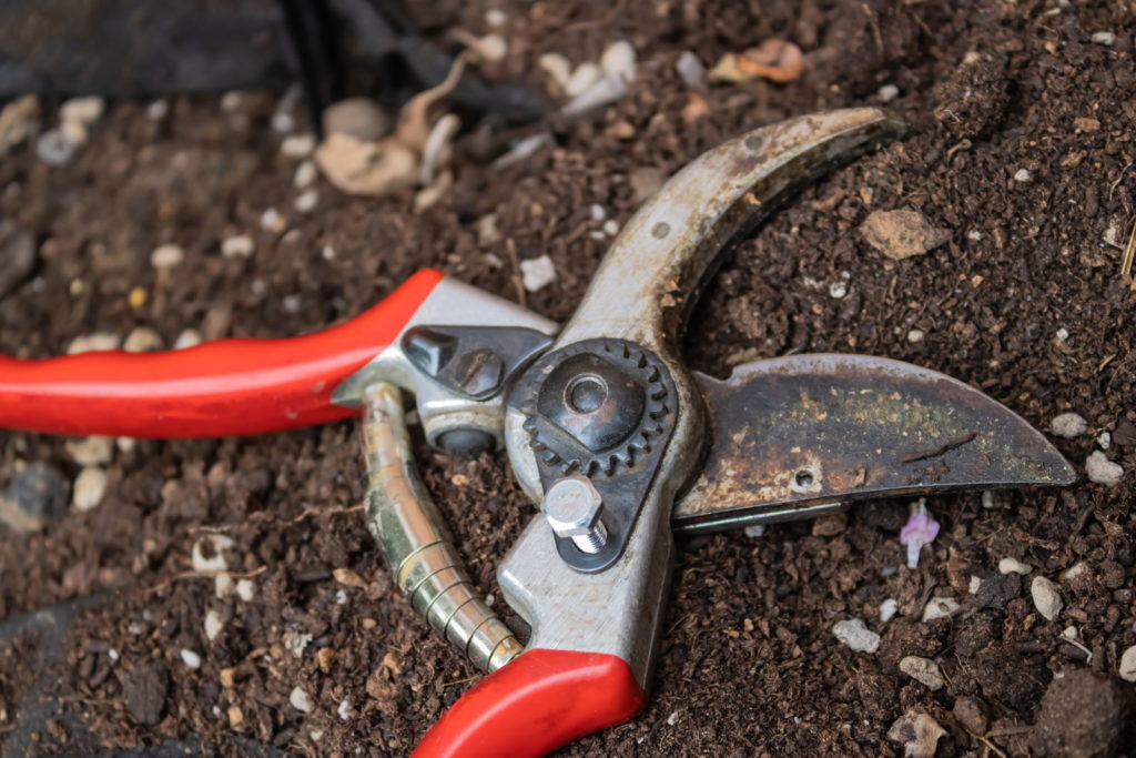 Rote Gartenschere auf Erde