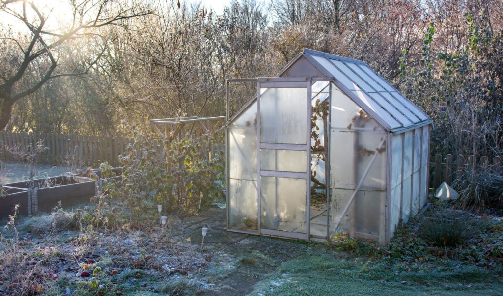 Gewächshaus im Garten bei Frost