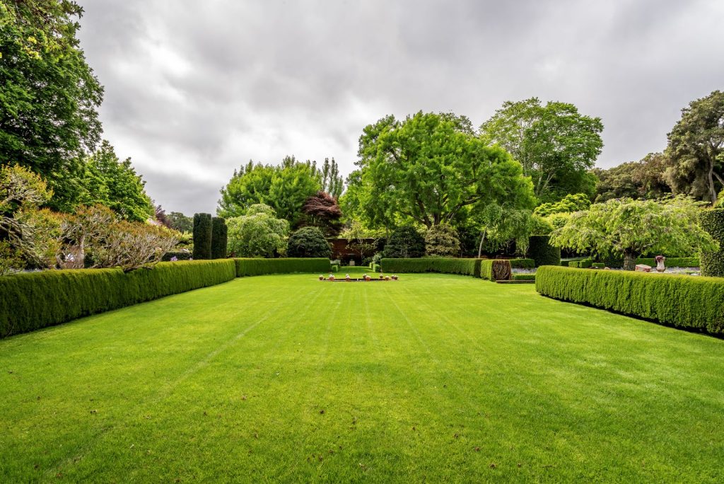 Rasenfläche in englischem Garten