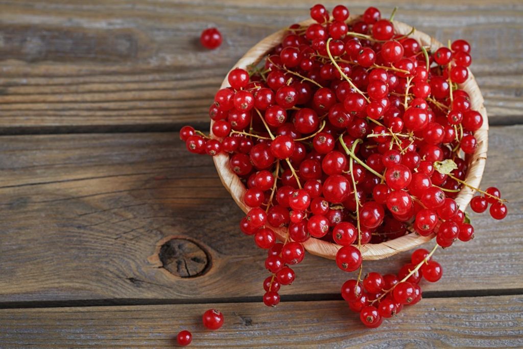 Rote Johannisbeeren in Holzschale auf Tisch