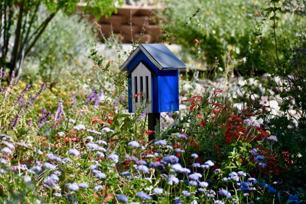 Blaues Schmetterlingshaus in Garten