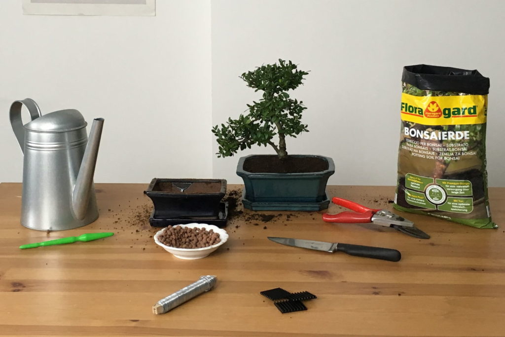 Materialien zum Bonsai-Umtopfen auf einem Tisch