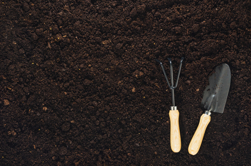 Gartenwerkzeuge liegen auf Gartenerde