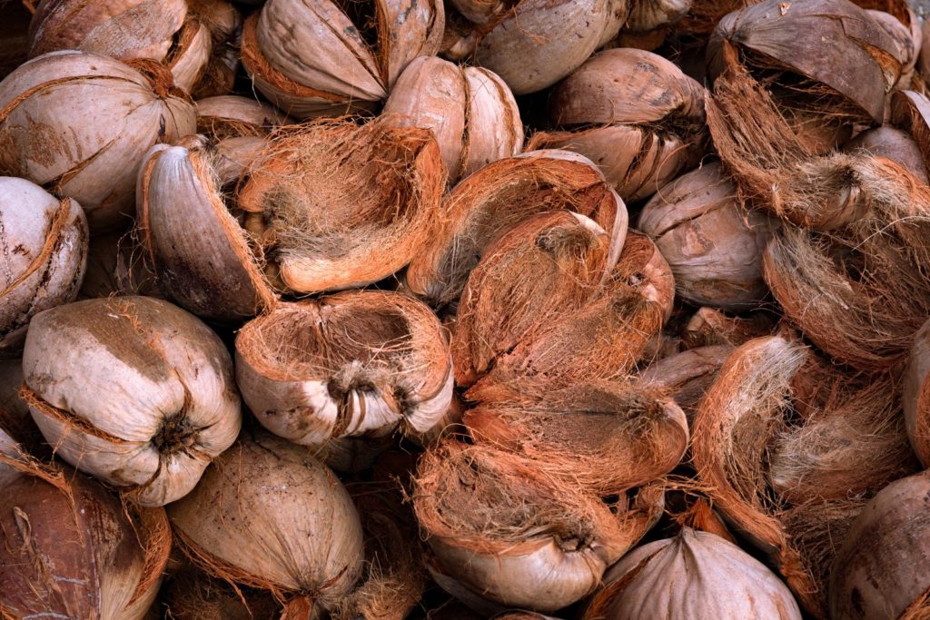 Kokosnüsse liegen auf einem Haufen